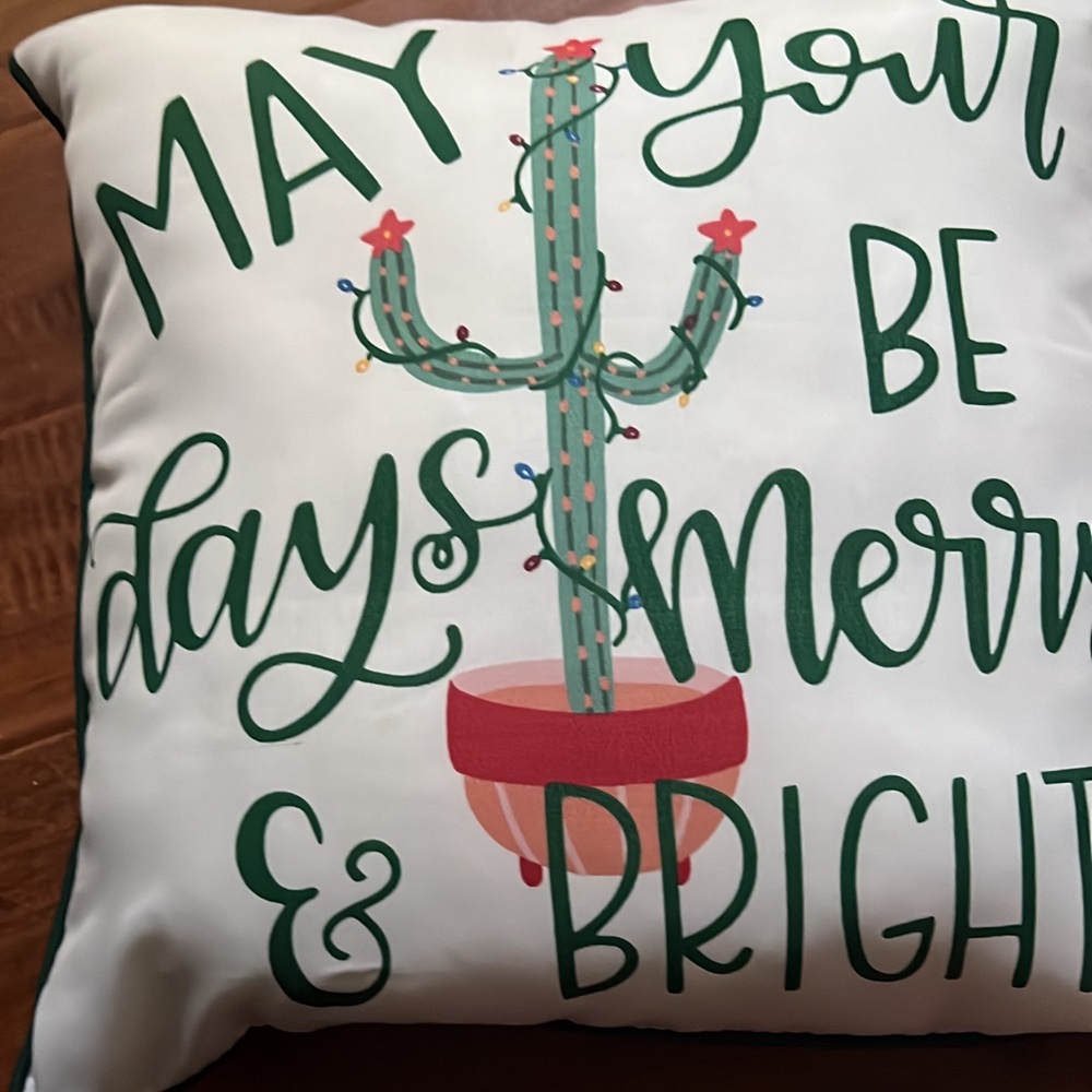 Merry and Bright Cactus Pillow
